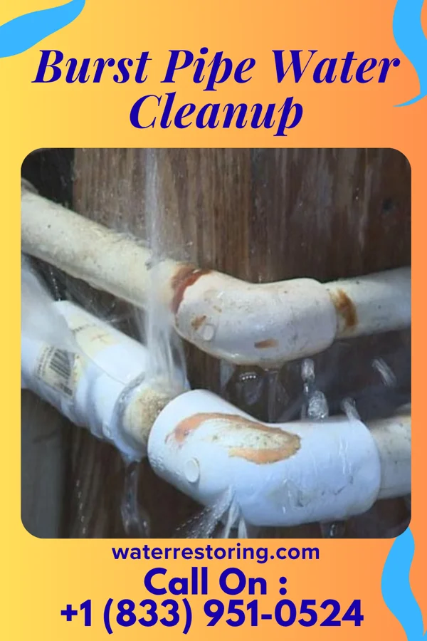 Burst Pipe Water Cleanup in Bernville, PA