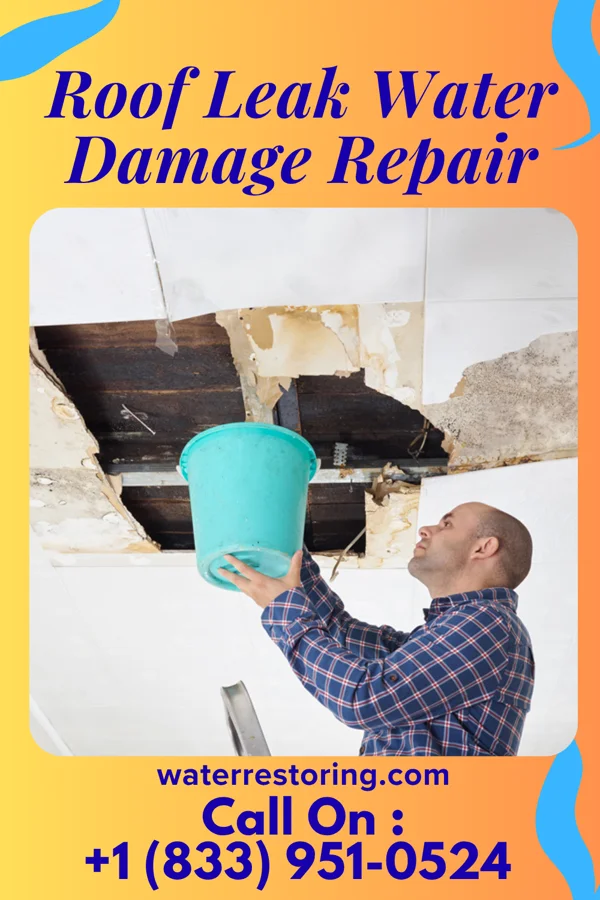 Roof Leak Water Damage Repair in Bernville, PA