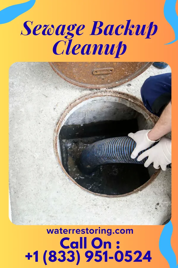 Sewage Backup Cleanup in Bernville, PA