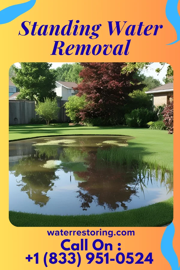 Standing Water Removal in Bernville, PA